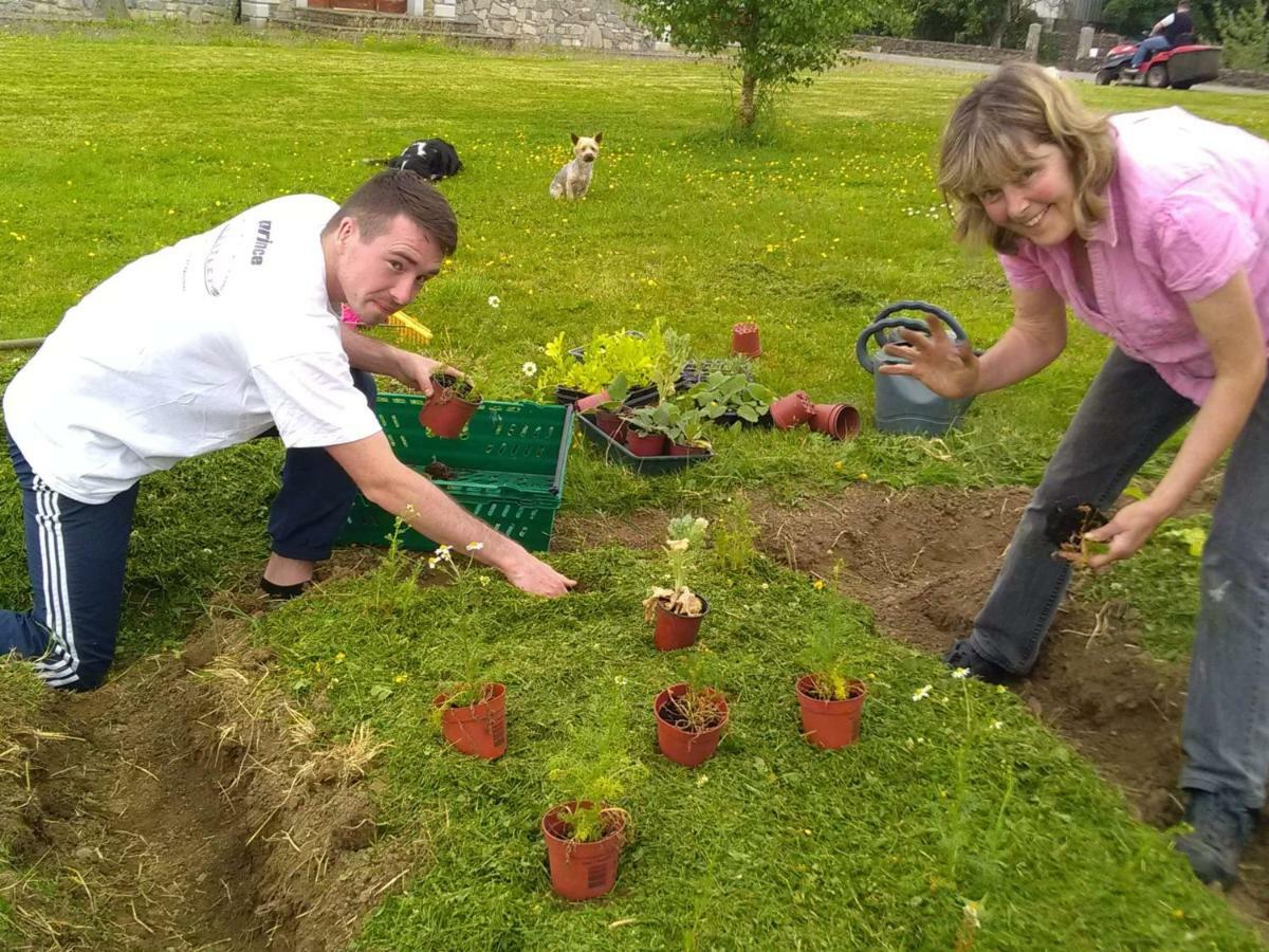 Castletownmoor Clinic & Permaculture Farm Hotel Kells  Exterior photo